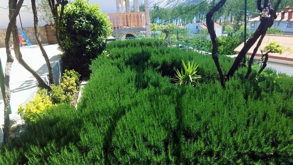 Holiday Home  Lopar Dış mekan fotoğraf